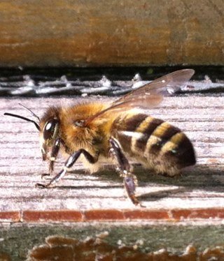 jkavalanche's profile picture. 