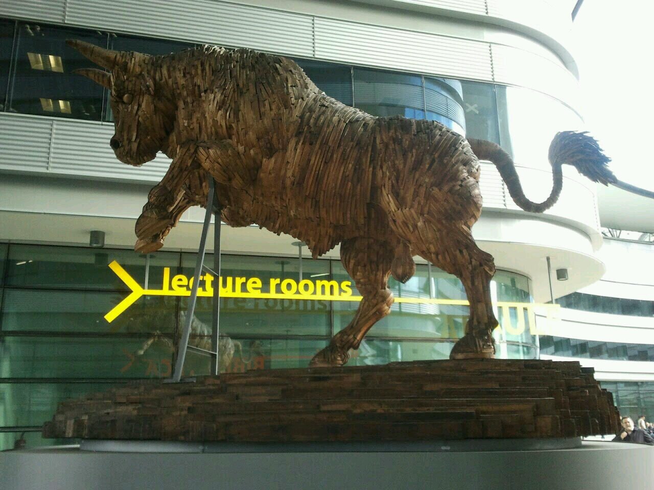 roccpasq's profile picture. 