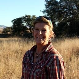LisaGSharp1's profile picture. Writer, equestrian, rancher, ex-B&B owner, solo-traveler
