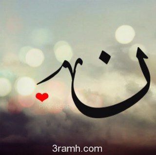 n___501's profile picture. 