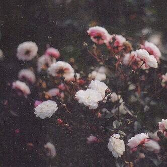 parting_1994's profile picture. ‏‏[فيـلسّؤف] .