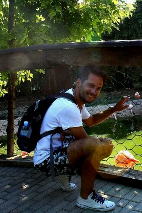 DeFreitasPaulo's profile picture. web developer, racing lover... 80's lover ...from madeira island