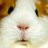 OMTZjustin's profile image
