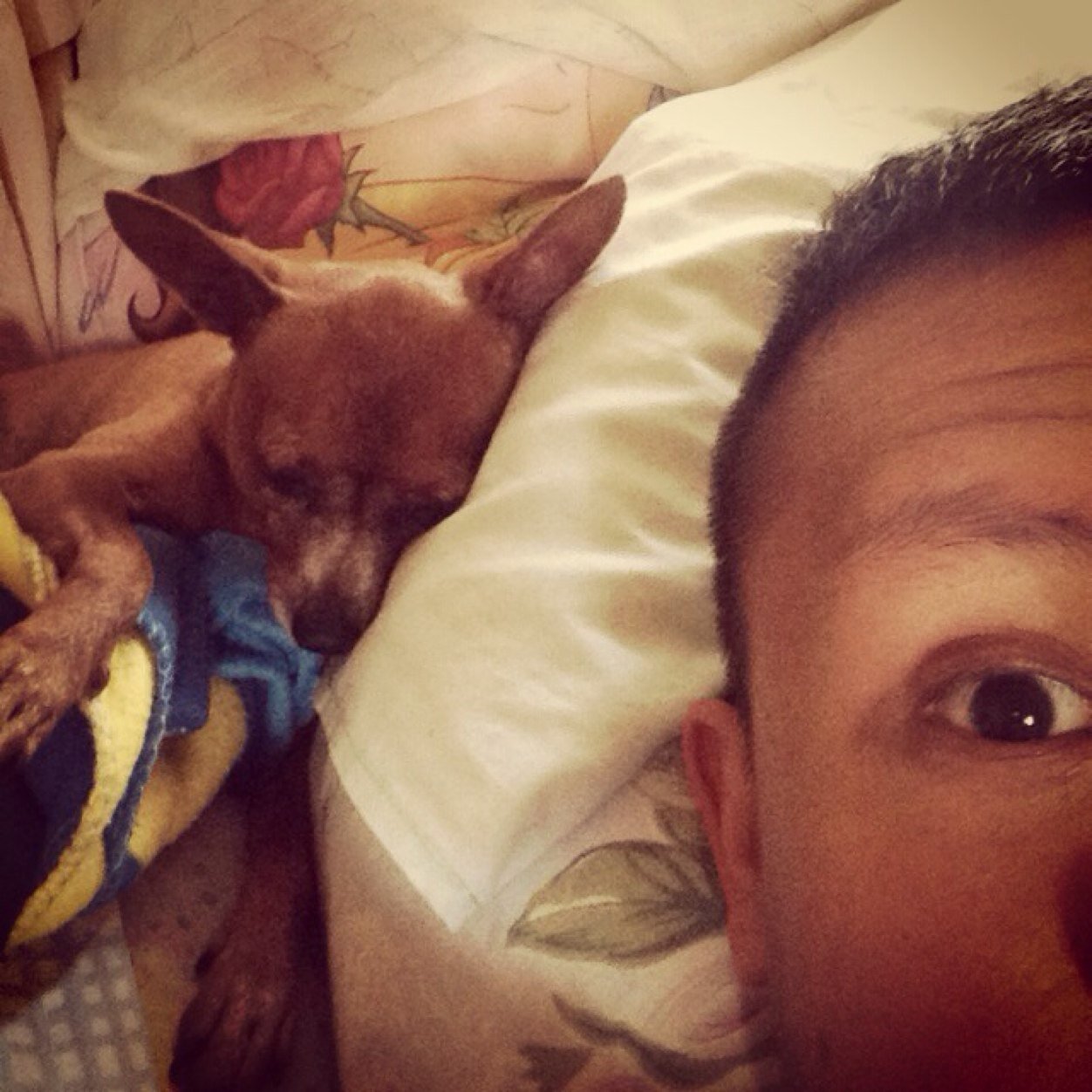 RunRoi's profile picture. Runner, swimmer, wants to learn how to ride a bike, fitness enthusiast, and Web support.