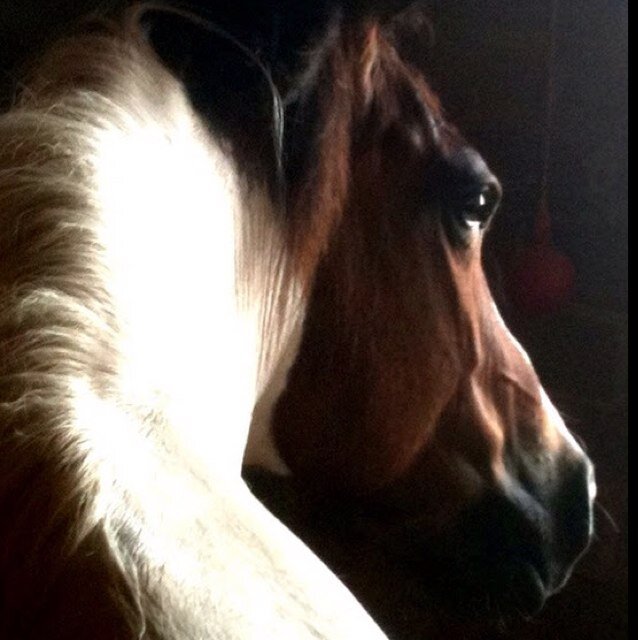 christendeanne's profile picture. 