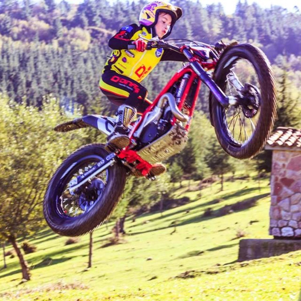 rodrigo_trial's profile picture. 