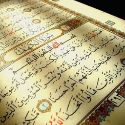☜ربيّ إني اخاف : ضمہّ القبر ، و ظلمہّ القبر و وحدهہّ القبر ، وعذاب القبر فااجعل اعمالي تُنير قبري وقني عذابہَ ، بِرحمتك يا ارحم الراحمين☞