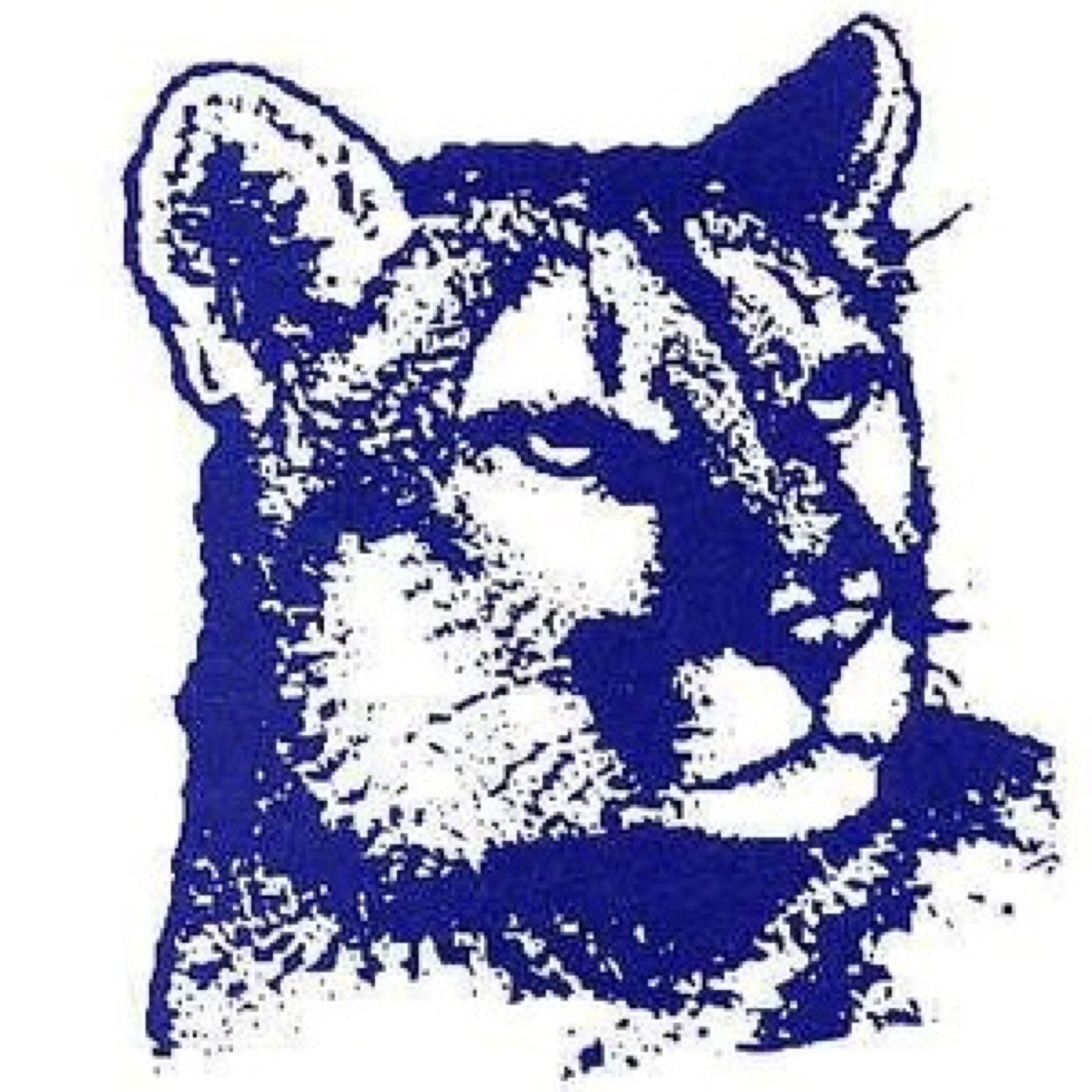 KAHS_Fans's profile picture. Official Kutztown High School spirit promoters! DM us about ANY school/community event you'd like us to support! & tweet pictures @ us! #COUGARPRIDE