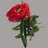 CocinaNutricion's profile image