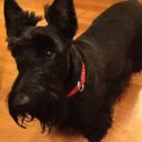 Al McCoy - @AlAlanjmccoy61 - Twitter