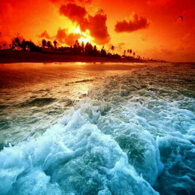 h2i1h1's profile picture. 