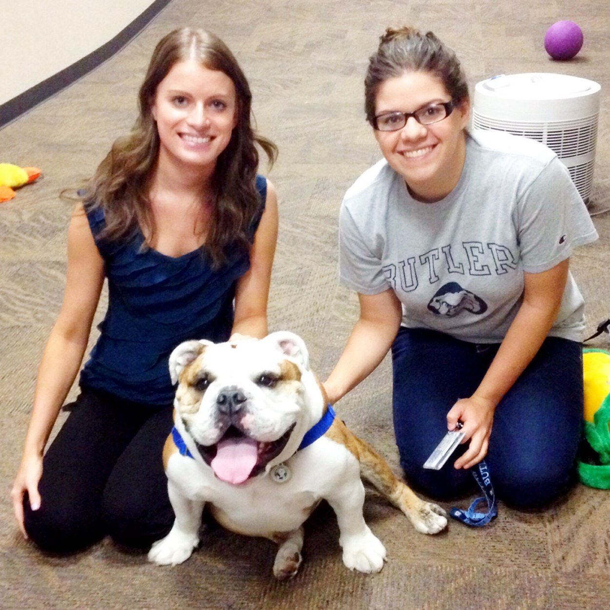 meganremenar's profile picture. Butler University Class of 2017 #GoDawgs