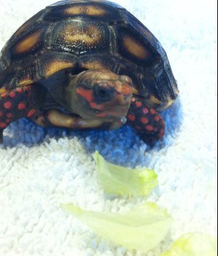 AlexSSinc's profile picture. 