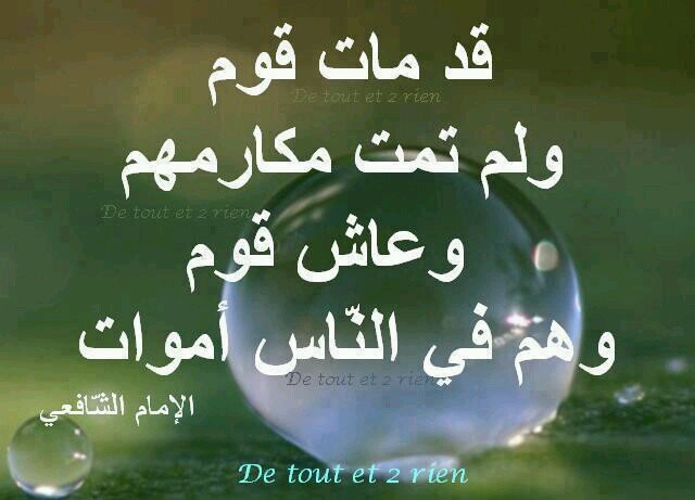 الأخلاق هي الروح التي لا تموت بعد الرحيل
