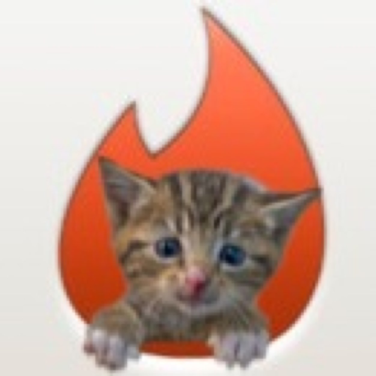 There are a lot of cats on tinder.