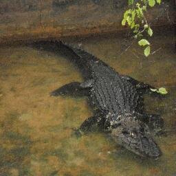 wettman12's profile picture. 