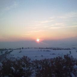 FeridunMehmet's profile picture. insana saygılı sevecen asabi