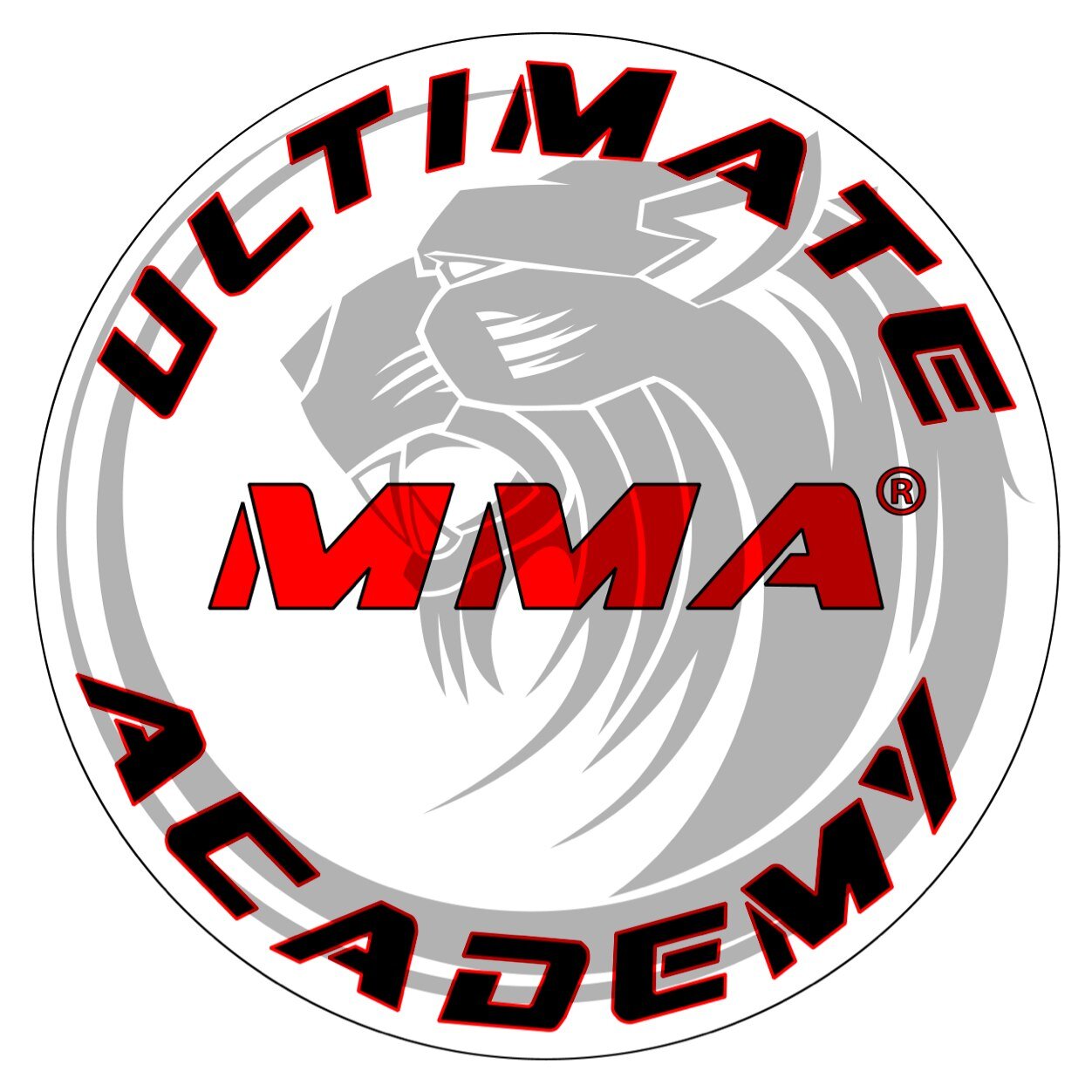 Ultimate #MMA Academy in Queens, NY -- #muaythai #BJJ #kickboxing #fitness