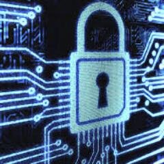 Cyber Student Volunteer Initiative; An informal network for current and past cybersecurity students, volunteers, and interns from various regions across the US