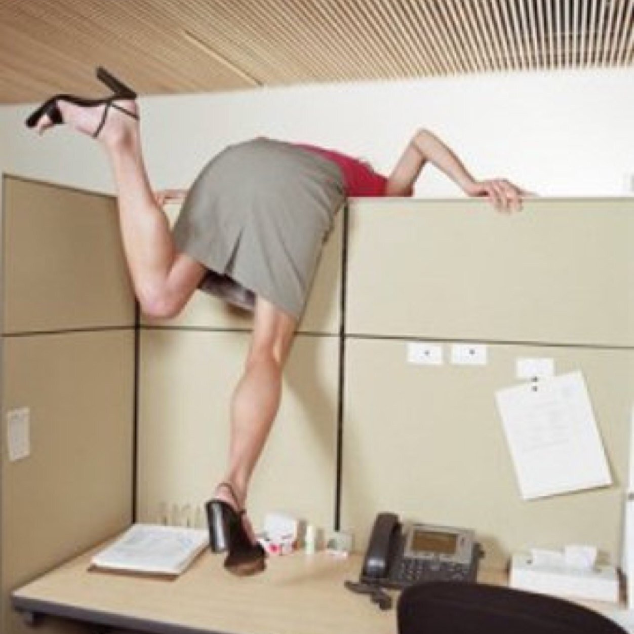 TheCubicleDrone's profile picture. I created this acct to bitch about work w/strangers. If you're underpaid & work w/an office of assholes, join me. Come to the dark side...