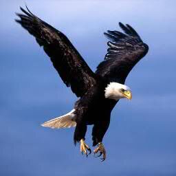 StevenPaulLakin's profile picture. Providing systems and controls to prevent illegal gun ownership and use. Sensible sustainable solutions empowering communities and  authorities.