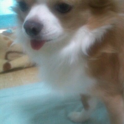 ユウタ