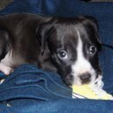 Bryan Nitz - @BryanNitz - Twitter