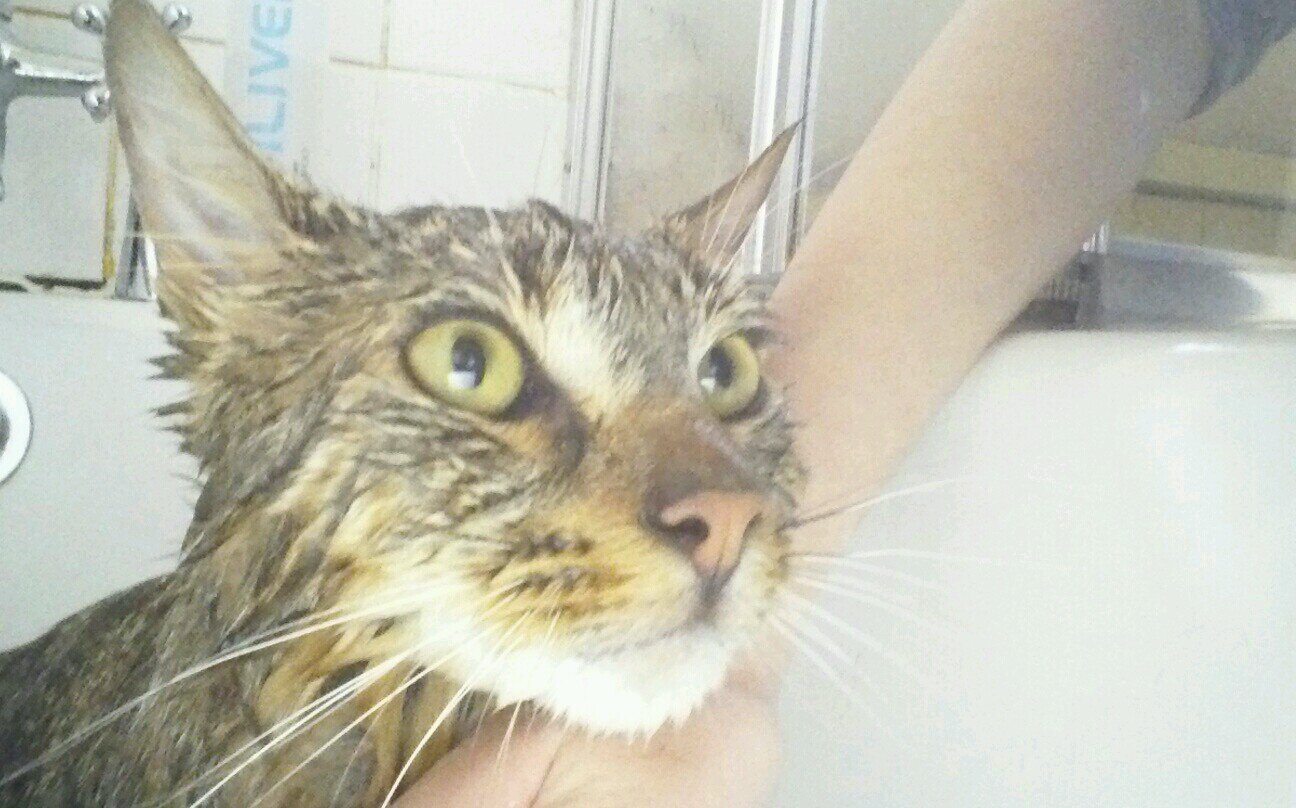 Jazzy046789's profile picture. 