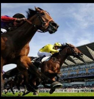 Professional Gambler/Horse Racing Tipster/Betting Agent. Email HR-Tips@live.com