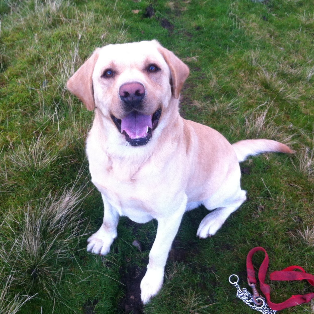 TDeggleston's profile picture. 