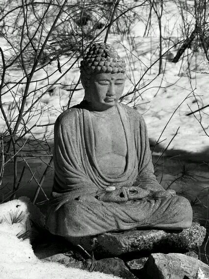 The essence of chi kung. tai chi and martial arts.quotes and messages to lift, energize and inspire.