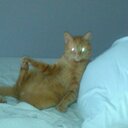 Monica Knott - @celtic_knott - Twitter