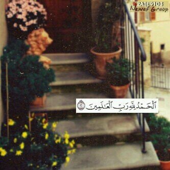 heart_nono's profile picture. ‏‏الأجيآل لِنفسہآ صآنعہ..♥..SQU..ربآه أسألگ حُسن الخاتمة..♥..^^أستغفر اللَّہ العظيم و أتوب إليہ^^..♥