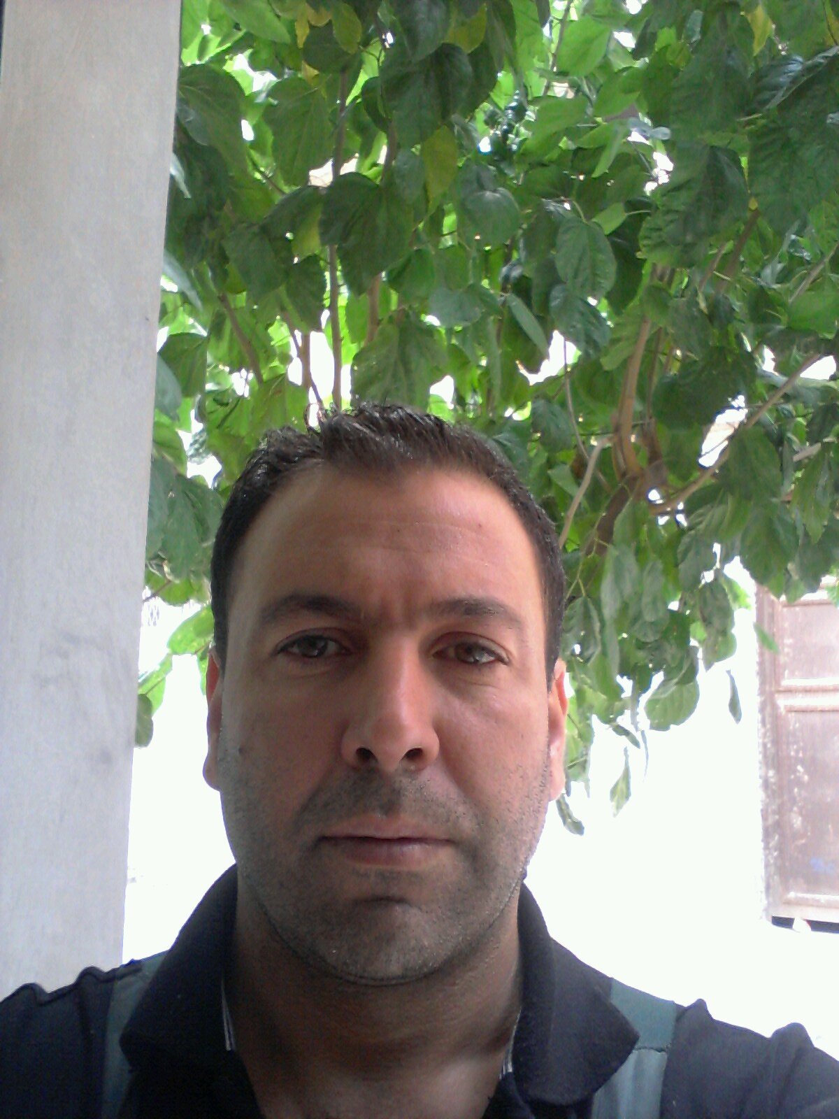 northstarp's profile picture. 