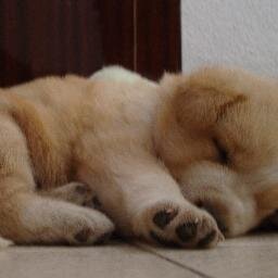 aaanngg6's profile picture. 