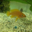 aidan mcmanus - @pcaidan - Twitter