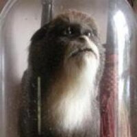 Douglas Lowe (@dglslw) 's Twitter Profile