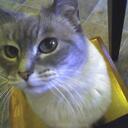 Stacy Seltzer - @SSelt - Twitter