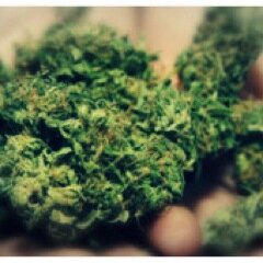 EWeeToR's profile picture. // #TeamInsomniaque #TheSwissWall #WallOfConnection //  Halo 4v4 Player for T4.MyNigga // Simplicity is the key ! // The Golden Modem // Swiss Player