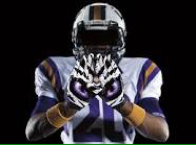 LSU fan, Sports Fan, Outdoorsman