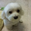 Alan Chua - @alanchua87 - Twitter