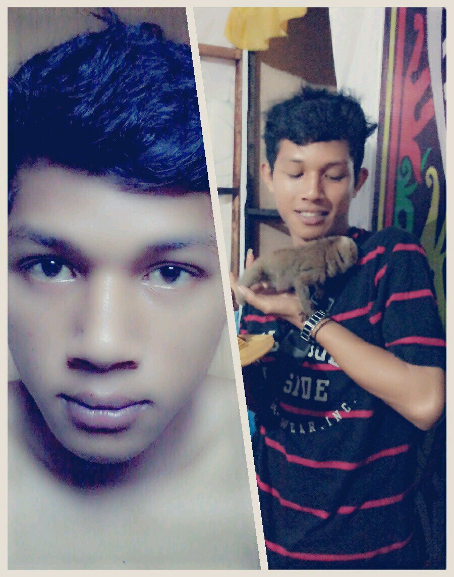 My job is many of fredoom_only my family is love_