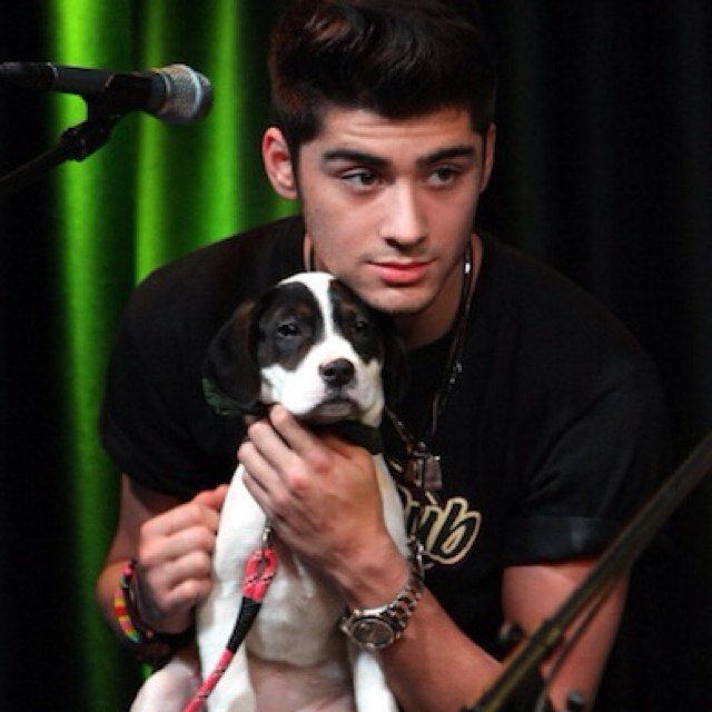 My owner is @maliktwins1