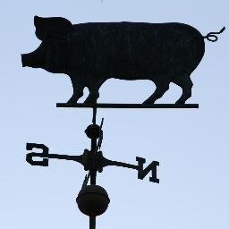 Pioneer Valley-raised pigs, chickens and bees, oh my!