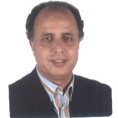 Engineer in IT,  Ph.D in Eng. Sc. at Paris6 University. I am always learning and love to help, I never give up.