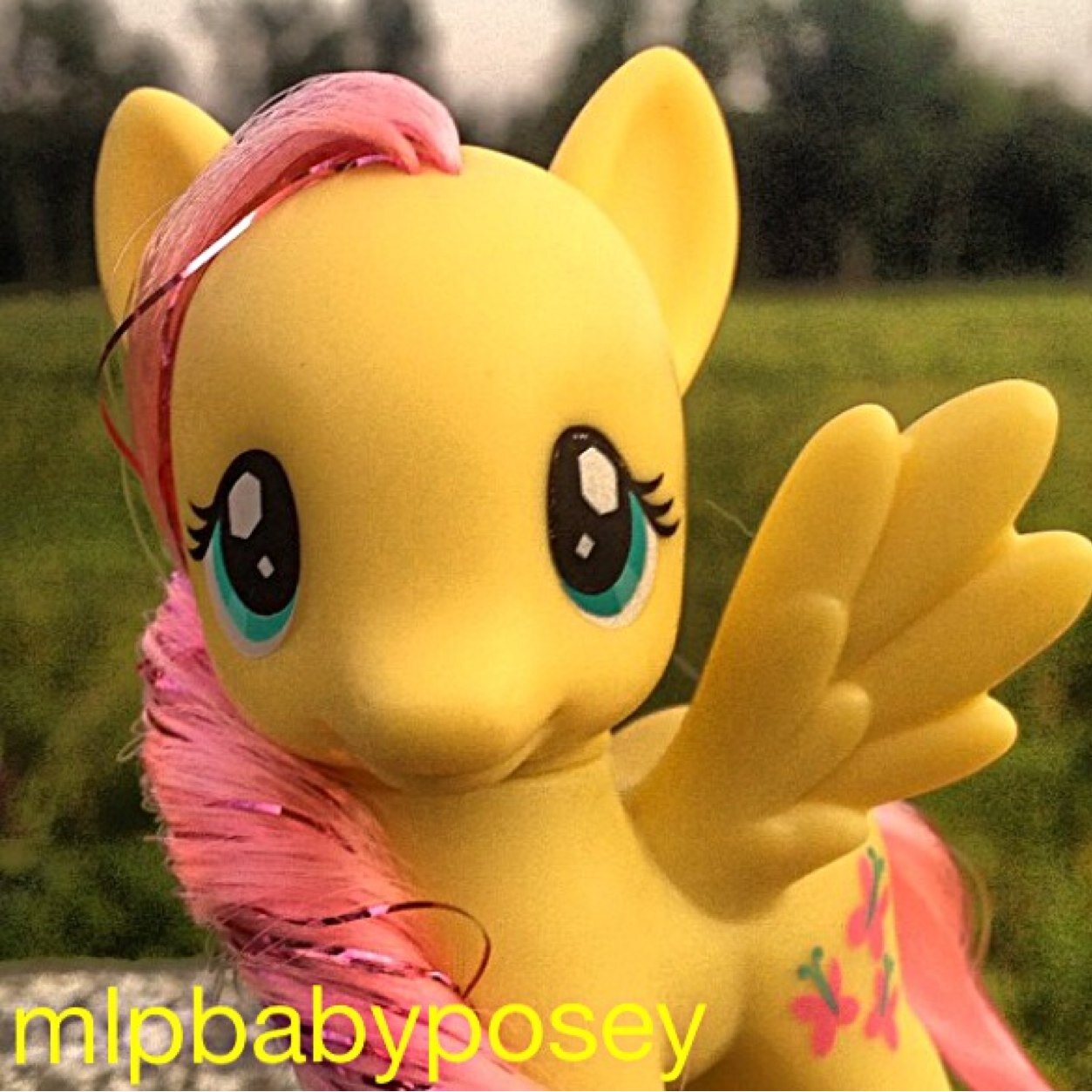 This is a account for all collectors or fans of my little pony, any age, any generation! Cover photo is my photo. Instagram:mlpbabyposey #mylittlepony