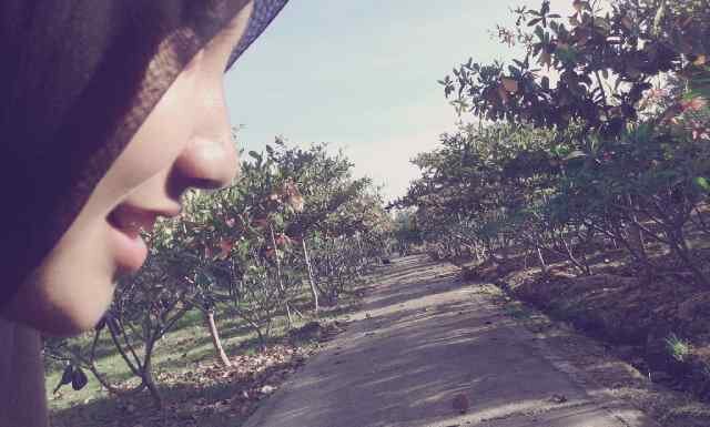 Keluaran 19/09/97 | produk aceh | fat,short and proud of that |SMAN 4 Banda Aceh| from MBA |