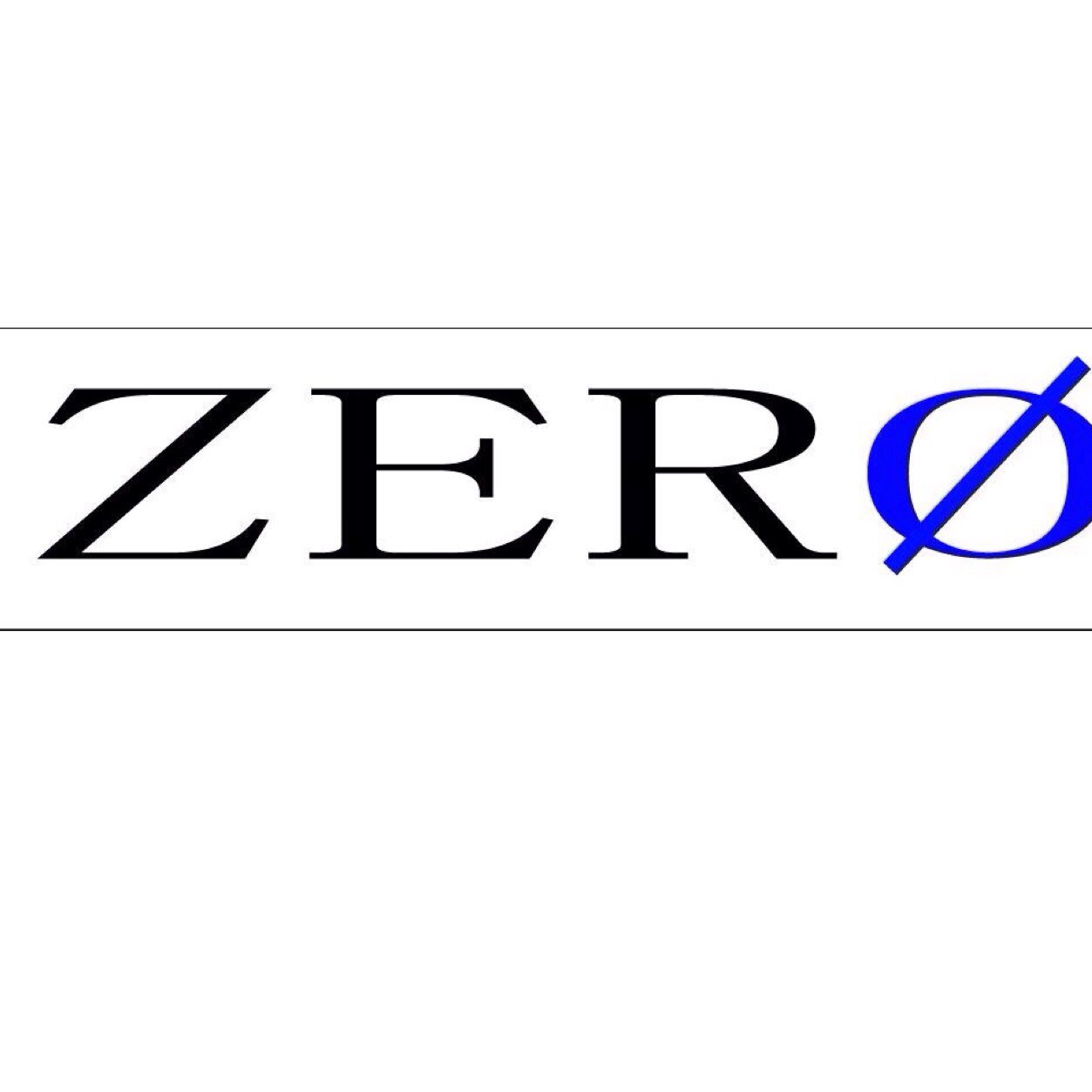 Team ZERO Profile