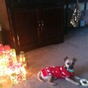 isabella dodson - @stacycdodson - Twitter