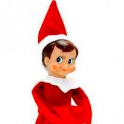 Creative, adventurous and almost always good #ElfOnTheShelf of the Baughcum Family (@carriebaughcum). I'm here for 25 days and I'm always watching.